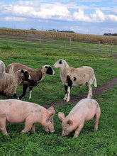 Load image into Gallery viewer, Half Hog Box